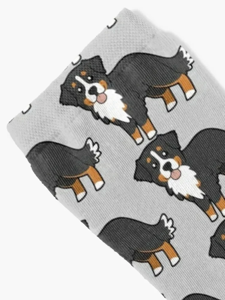 Bernese mountain dog. Socks sheer moving stockings Designer Man Socks Women's