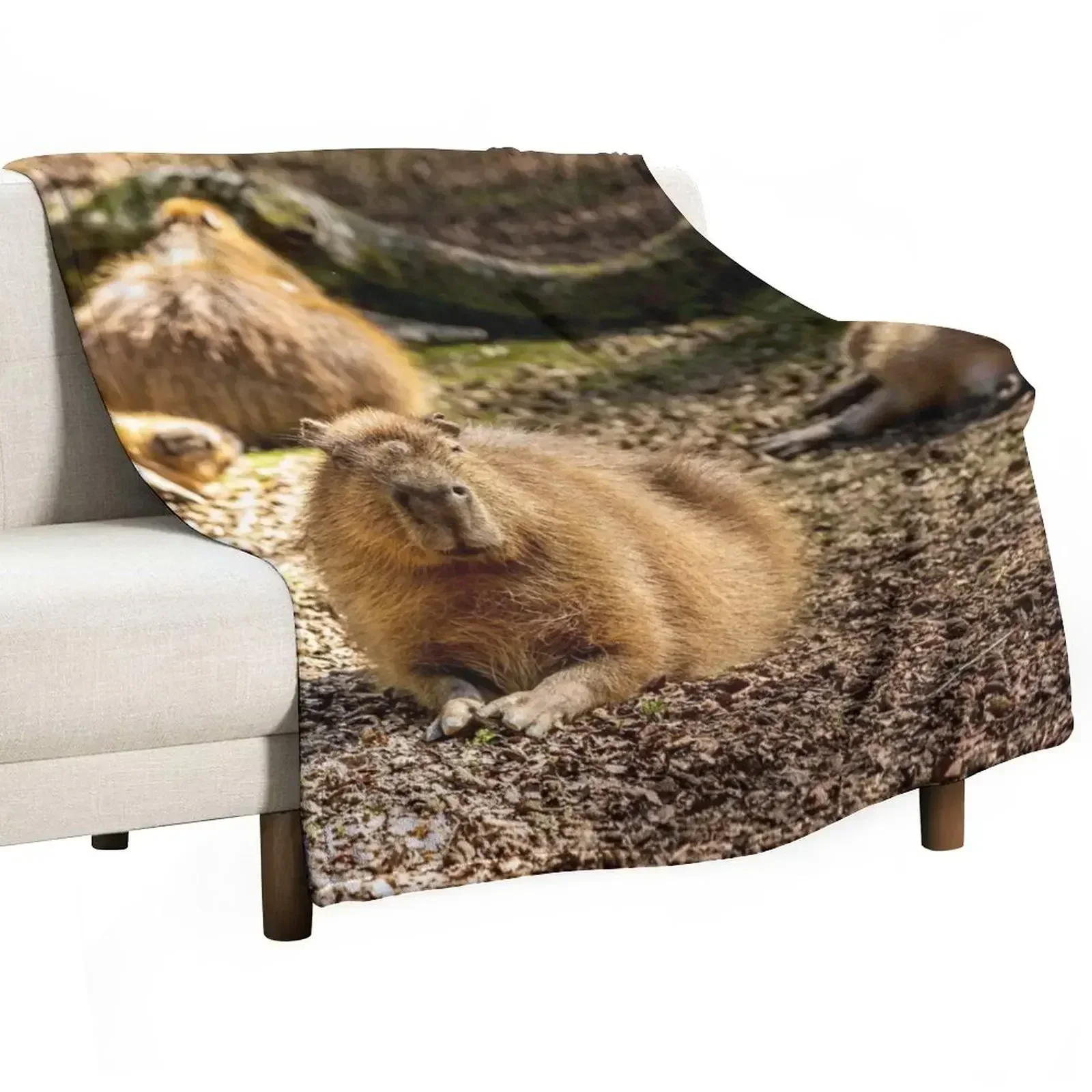 

Capybara taking the Sun Throw Blanket Baby Flannel Blankets