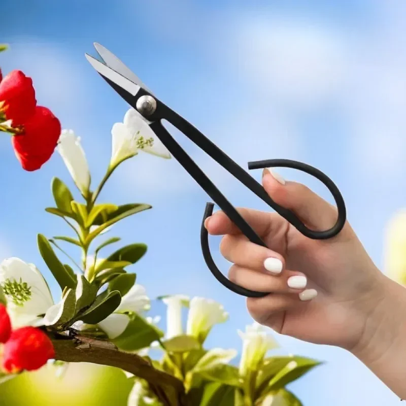 Bonsai Tool Long Handle Garden Scissors Plant Branch Shears Gardening Pruning Bonsai Scissors Pruner Accesorries Grafting Tool