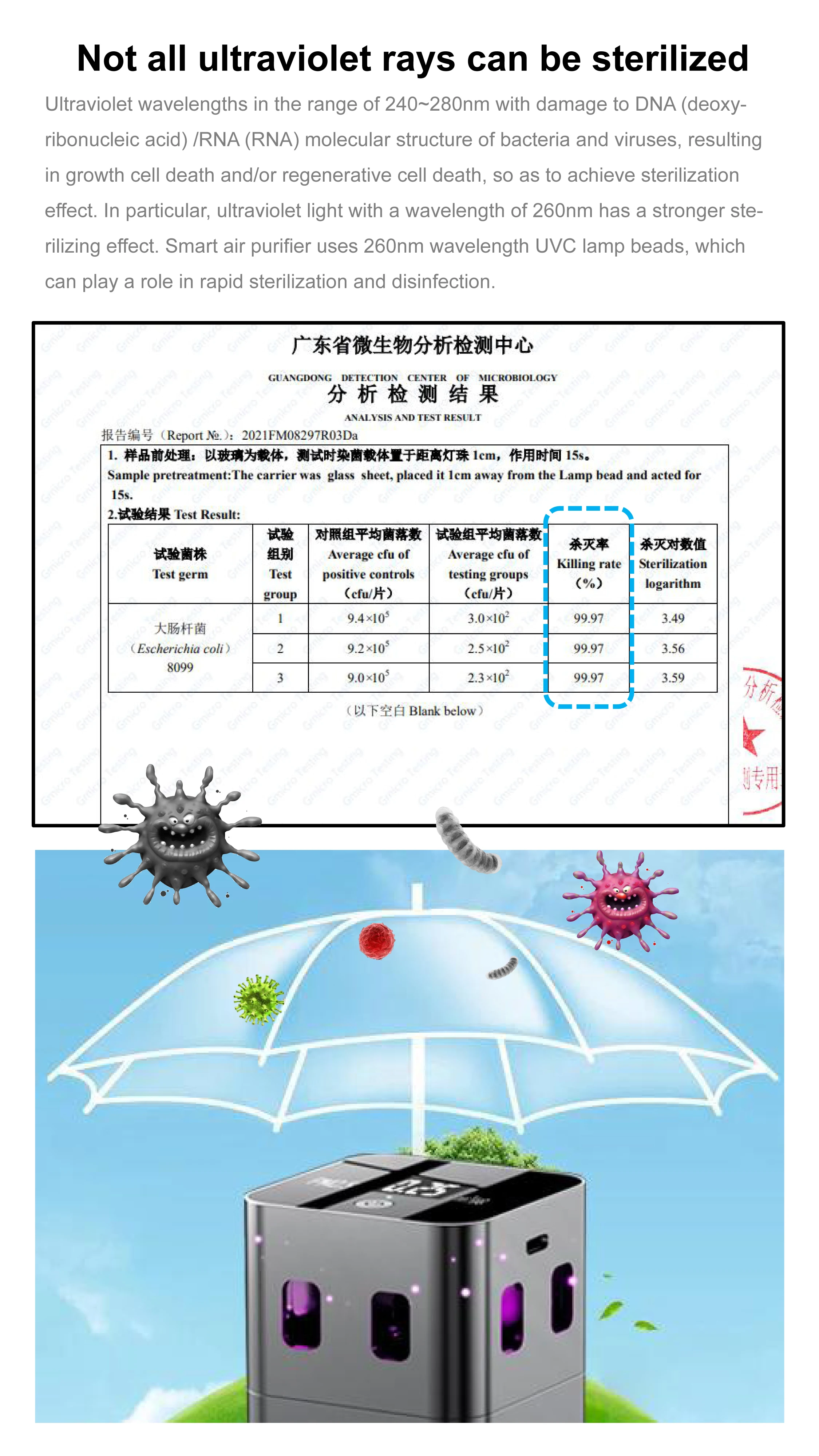 Purificateur d'air de voiture, élimination des odeurs d'air frais, élimination des odeurs de fumée, odeur en plastique, désodorisation des odeurs du cuir