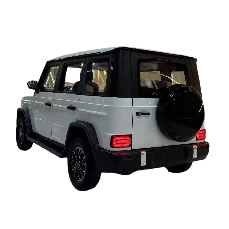 WB  High-quality new energy electric four-wheeler fully enclosed four-wheel 4000w electric SUV