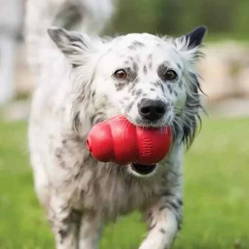 KONG Toy-Dog Pick and Chew Toy-Stuffing Handling and Error Bouncing for Extended Play Time-Durable Natural for Medium/Large Dog