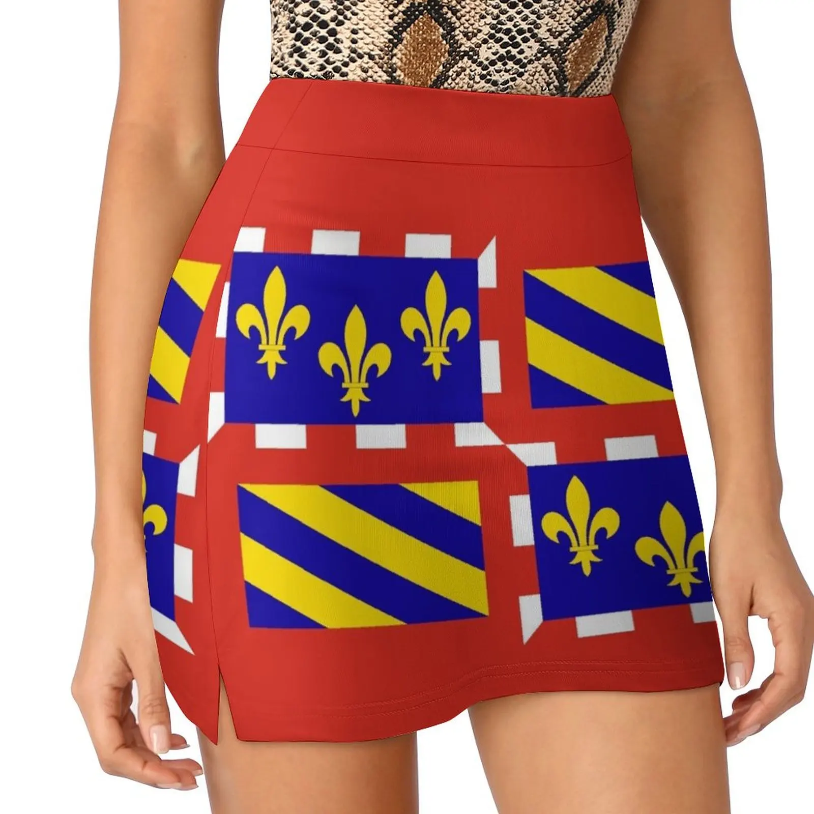 Flag of Bourgogne France Mini Skirt Female dress skirts for womens