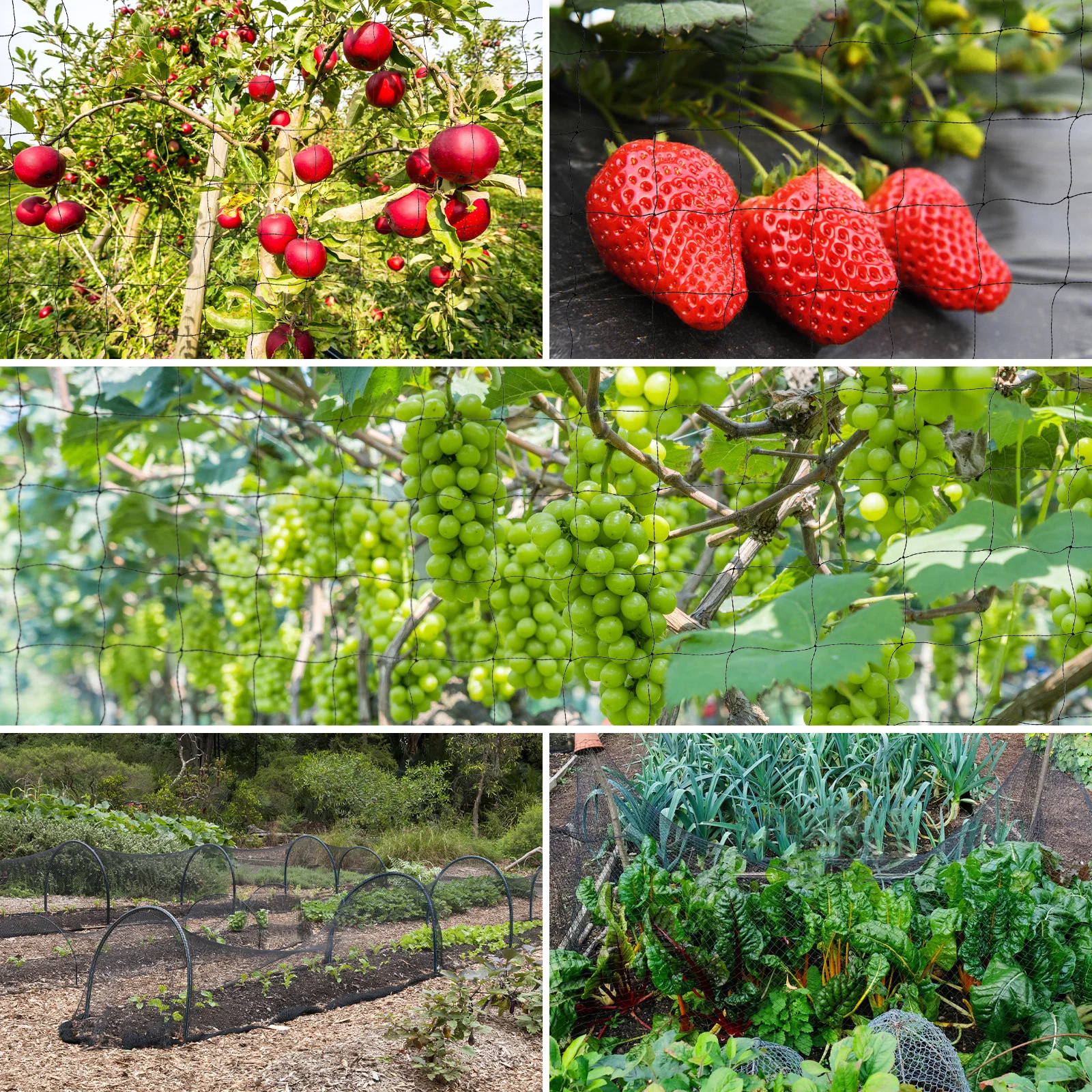 

Thicken Nylon Bird Netting Garden Fence Anti Bird Net Protection for Crops Flowers Vegetables Orchard Yard Animal Barrier Mesh
