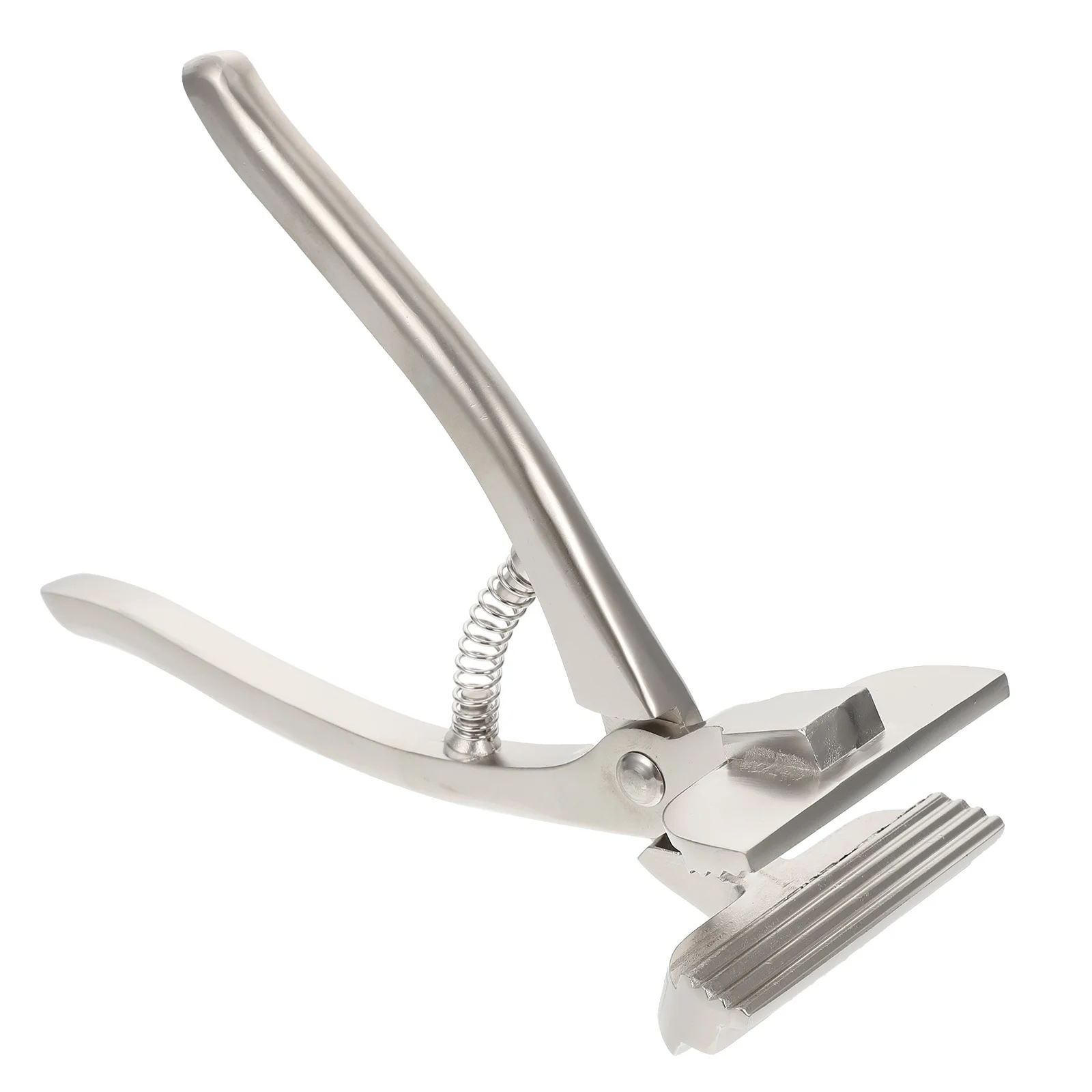 

Clothing Oil Painting Clip Frame Holder Clamp Stainless Steel Canvas Stretch Clips
