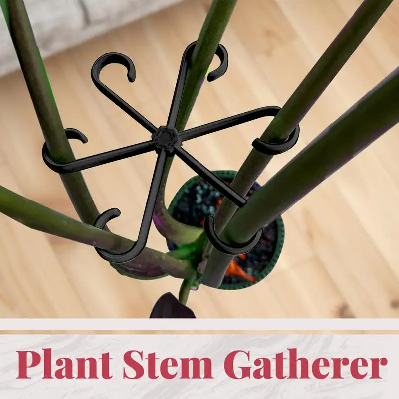 Stem Holders For Plants Alocasia Monstera Leaf Supports 4Pcs Vine Support Clips For Climbing Plants To Grow Upright And Make