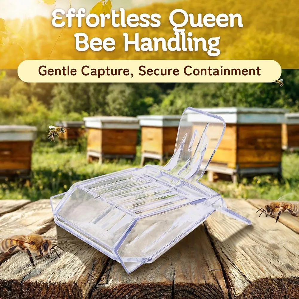 

2025 Trend Beekeeping Transparent Clips Queen Bee Clip Queen Bee Cage Catcher Queen Bee Clips For Bees