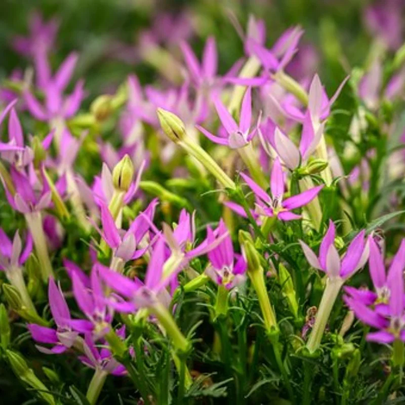 

Металлический поворотный рычаг, рулевая чашка, ступица, набор амортизаторов для HS 14321 14322 14421 14431 JJRC C8802 1/14, детали для обновления радиоуправляемого автомобиля