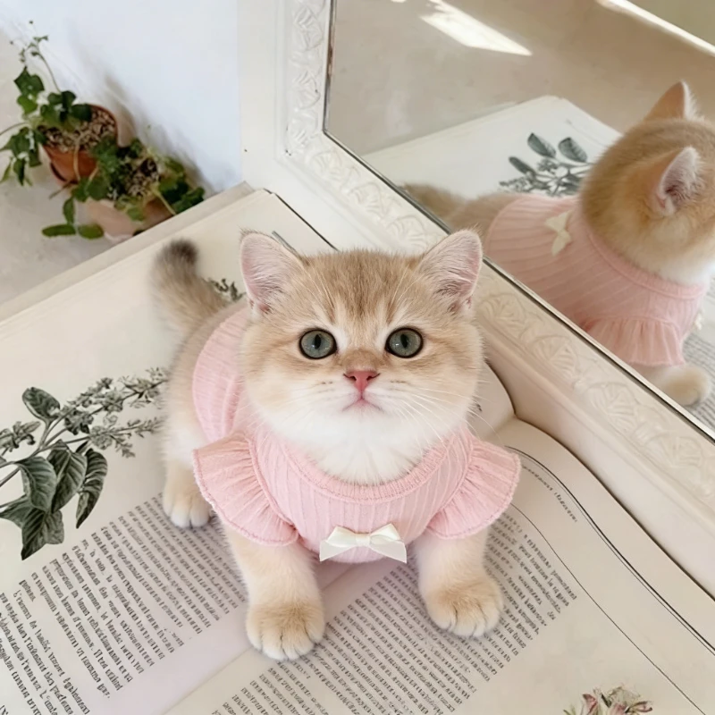 Entzückende Hundeweste mit Schleife, atmungsaktive 2-Bein-Haustierkleidung für den Sommer, Teddy-Katzenbekleidung, leichtes Tanktop, Welpenkleidung