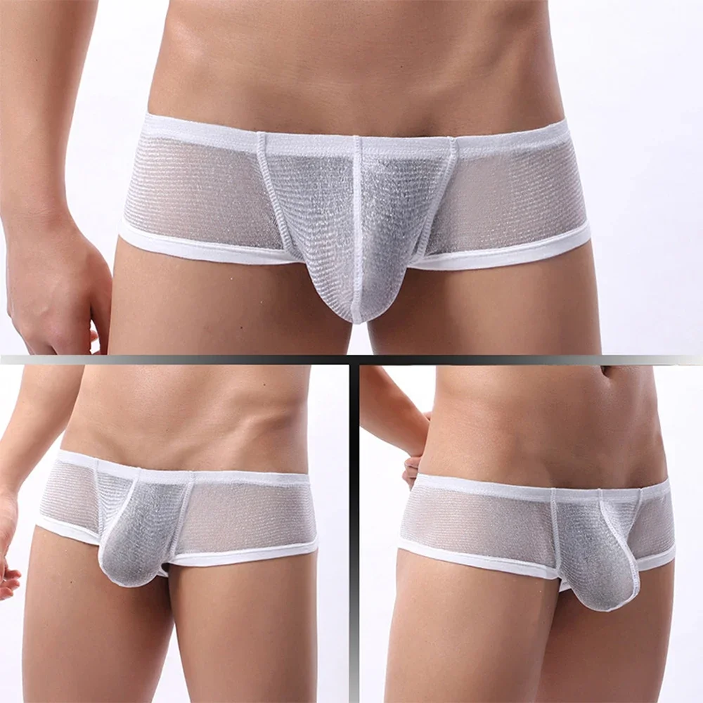 

Briefs Underwear Brief Men's Sheer Mesh Pouch Boxer Briefs Low Waist Underwear Sexy Panties Lingerie Assorted Colors