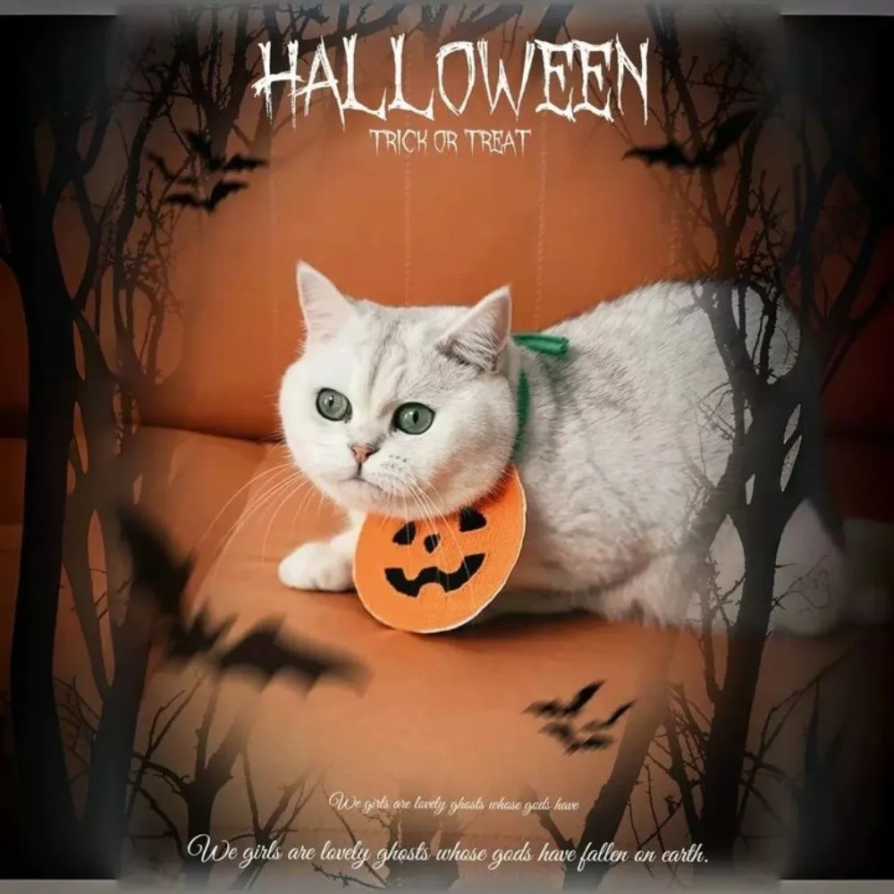 

Cute Ghost Halloween Pet Bib Adjustable Knitted Pumpkin Dog Scarf Soft Comfortable To Wear Kitty Saliva Towel Photography Props