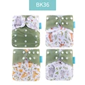 BK36