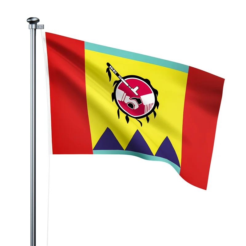 Gaslight Gatekeep Girlboss 5' x 3' Stoney Nakoda Nation Indigenous Peoples of Canada Flag Banner 150cm x 90cm
