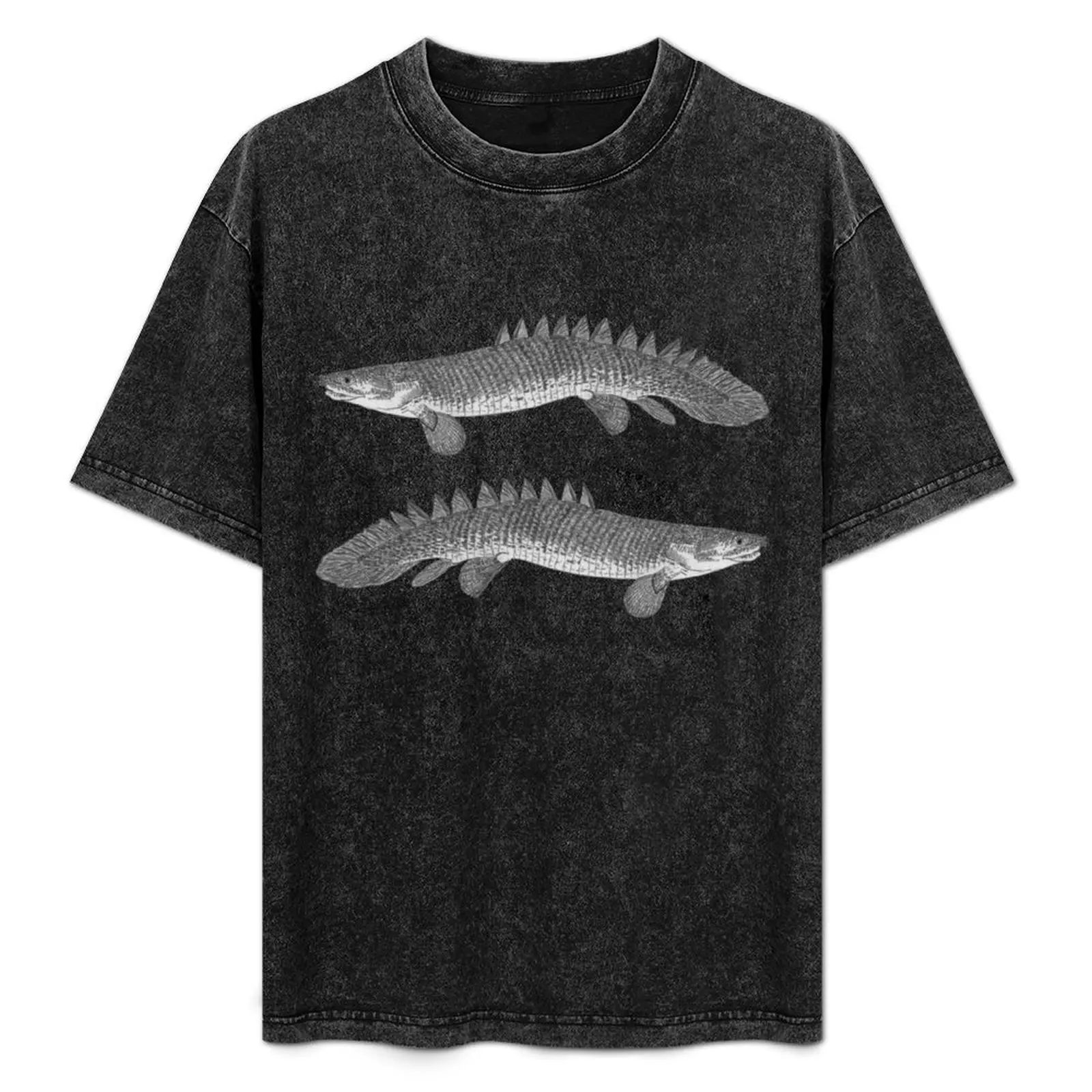 

A bichir T-Shirt vintage anime shirt summer top vintage mens vintage t shirts