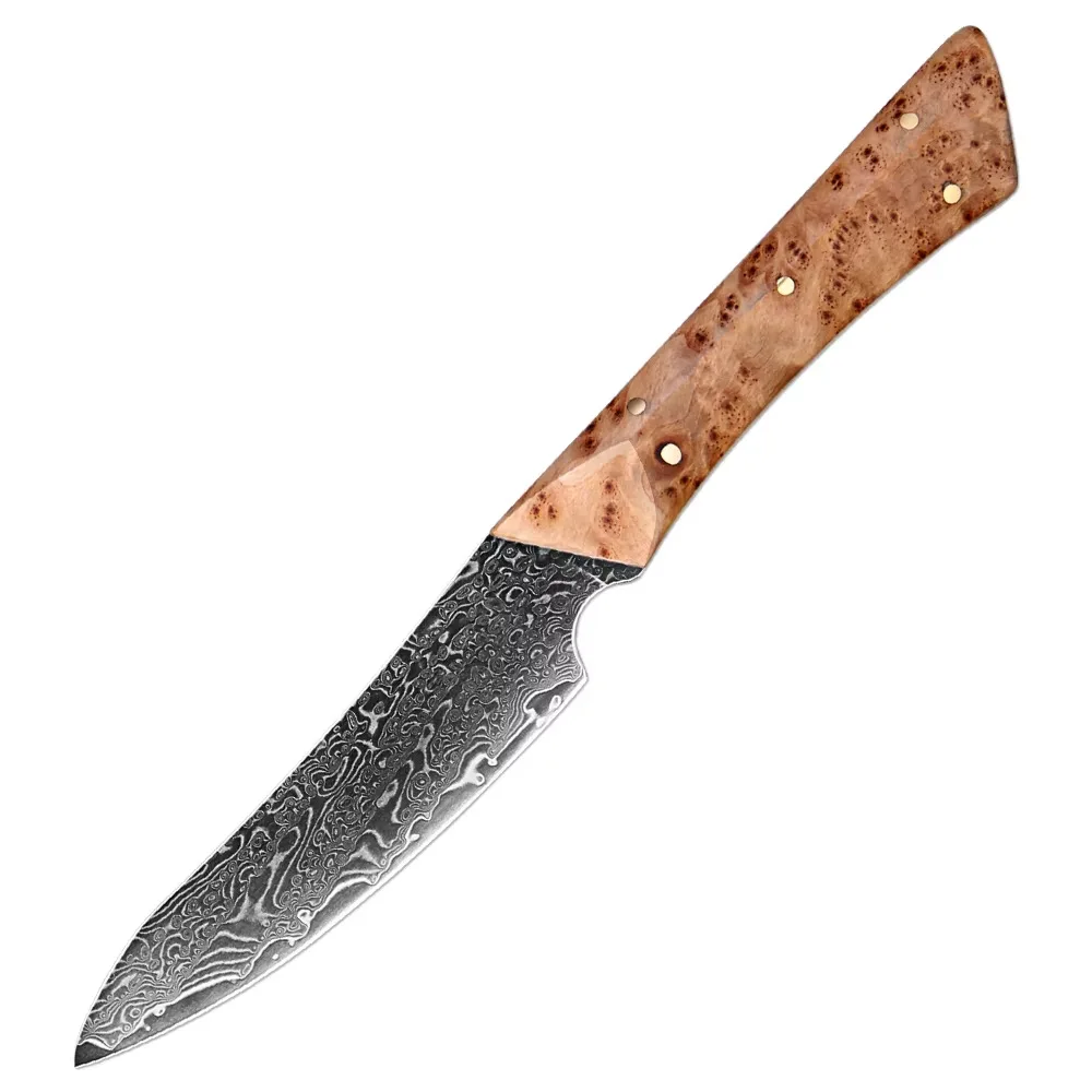 3.5inch 67Layer Damascus Steel Fruit Knife VG10 Steel Full Tang Blade Utility Vegetable Cutting Cheese Slicing Kitchen Knives