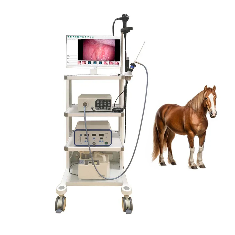 Hot Sale Endoscopic camer Gastroscopy Colonoscopy Veterinary Flexible   Animal Use Video   for Horse