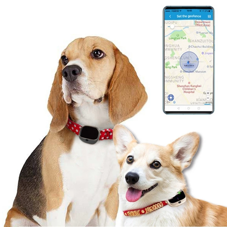 High Quality Waterproof GPS + LBS + WiFi Mini Smart Pet Locator Pet Collar Tracking Device 4g Gps Tracker For Dog