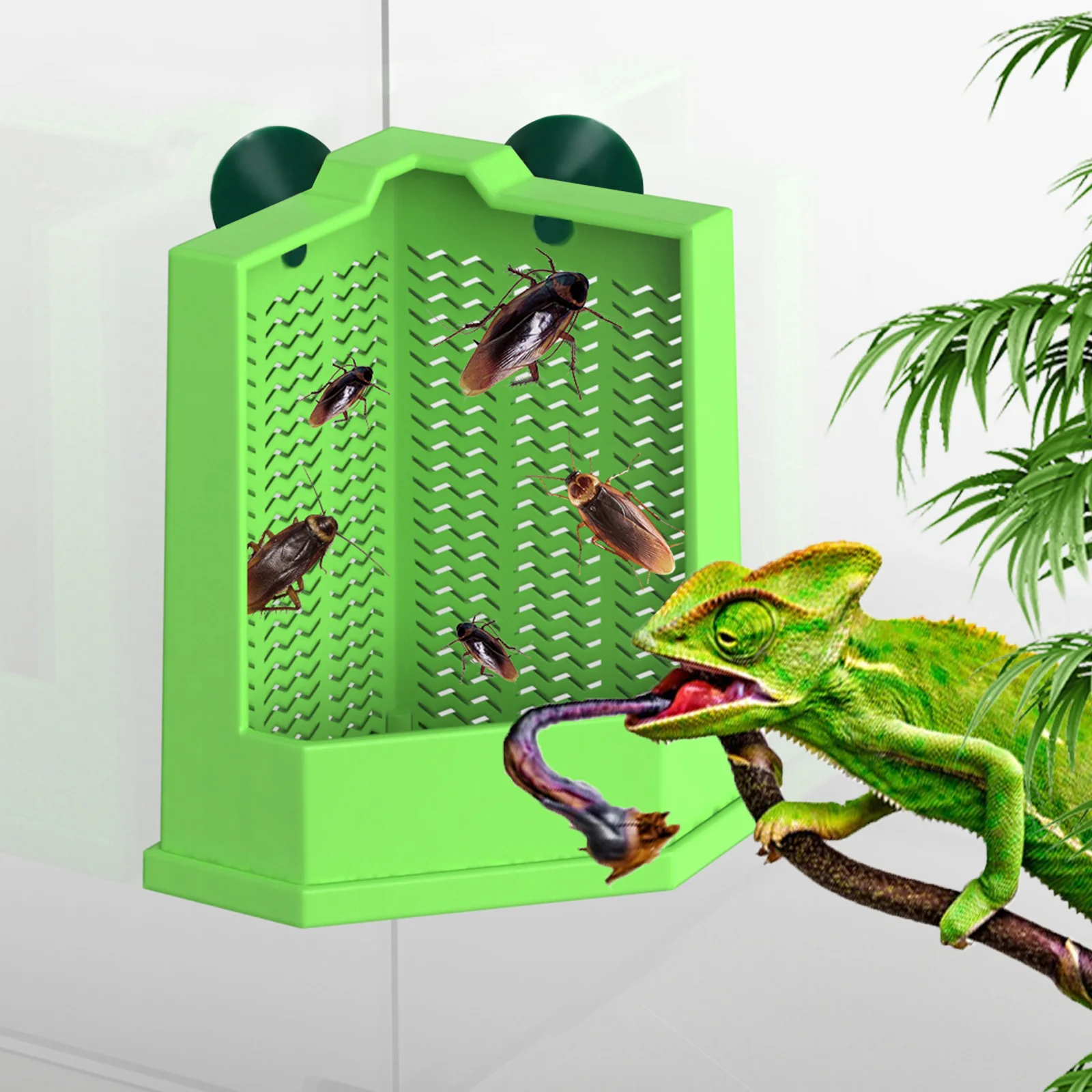 Cockroach Climbing … - image