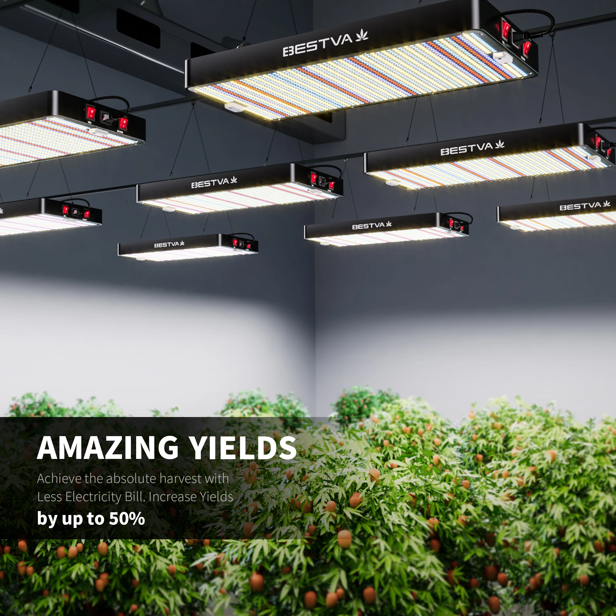 BESTVA Grow Light DC 3000 Full Spectrum 300W Plants Light For Indoor Plants Seed Bloom 3000K 5000K Hydroponics Growing System