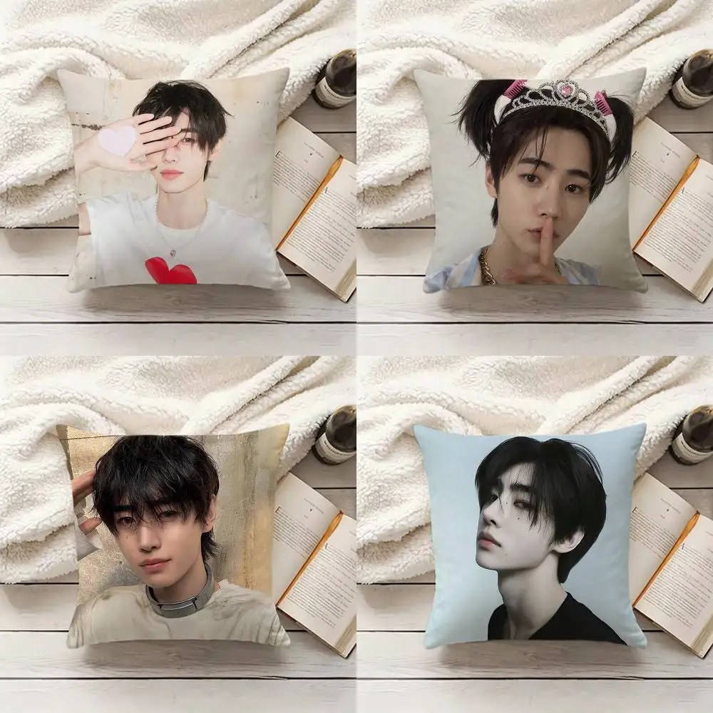 

S-SUNGHOON Pillow Case Living Room Sofa Cushion Cover Suitable For Home Bedroom Room Decoration