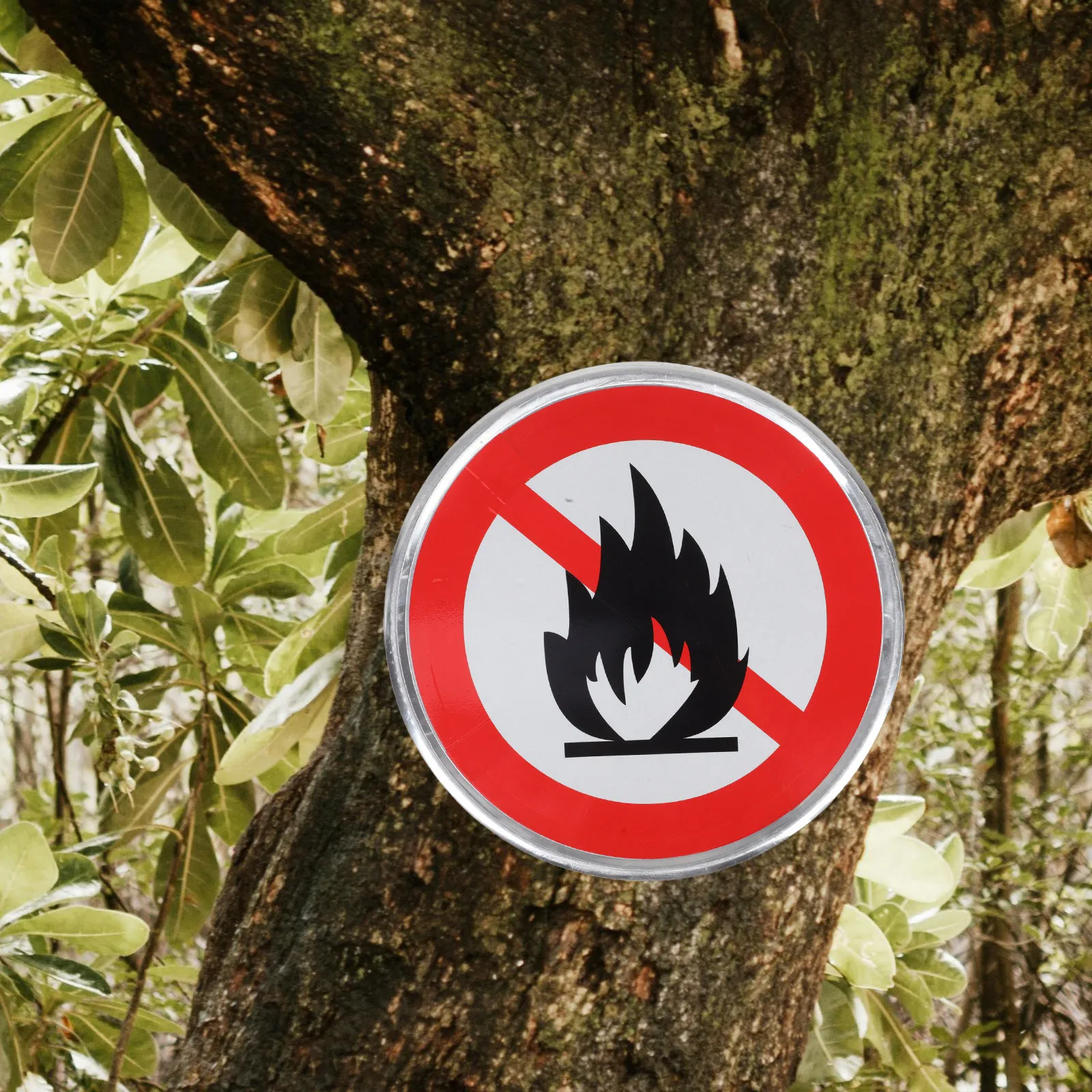 Sinal de prevenção de incêndio durável 30cm cores negrevidas texto claro aviso de segurança sem queima aberta ideal para campos de acampamento florestais caminhadas