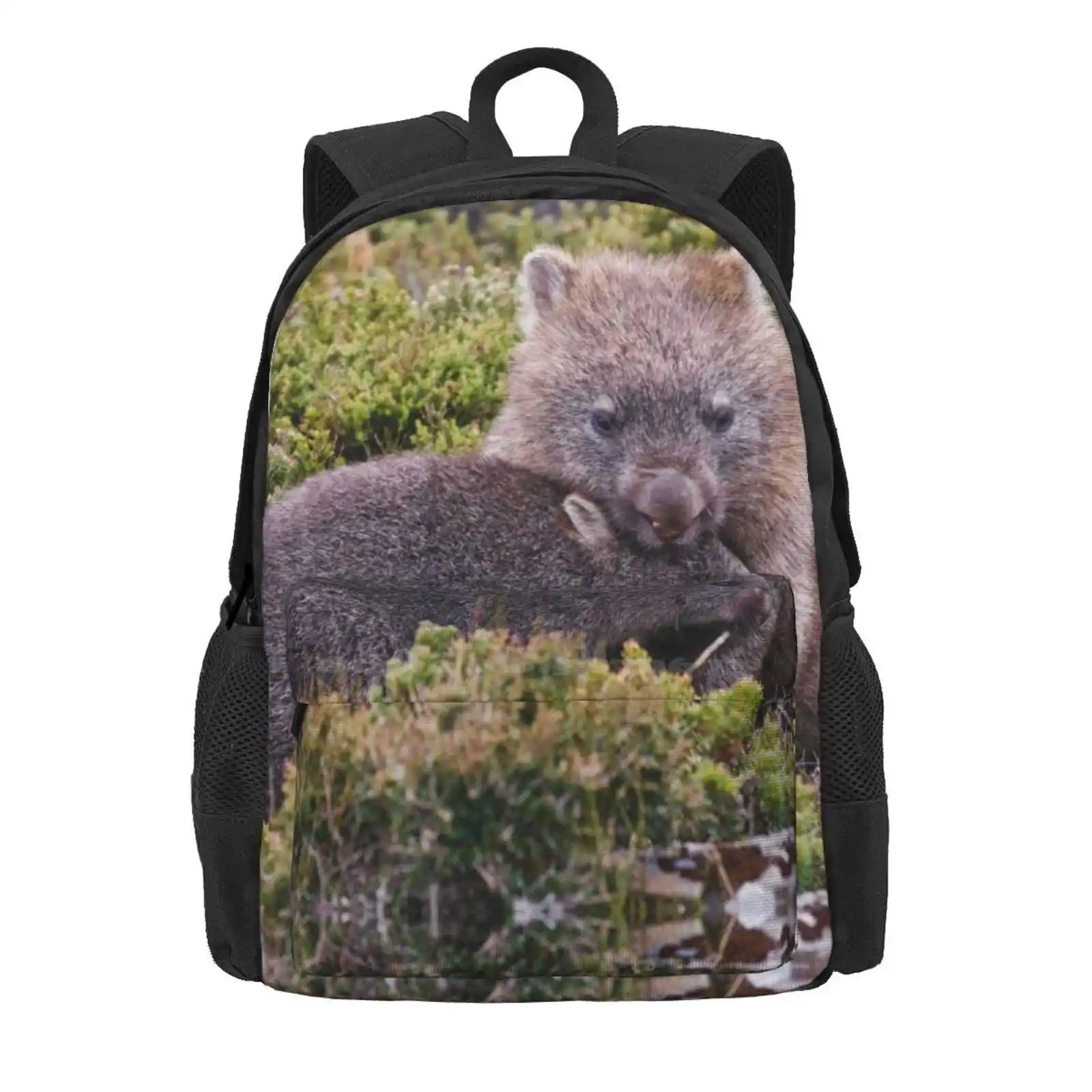 Wombats In The Wild, Tasmania Hot Sale Schoolbag Backpack Fashion Bags Wombat Tasmania Tasadam