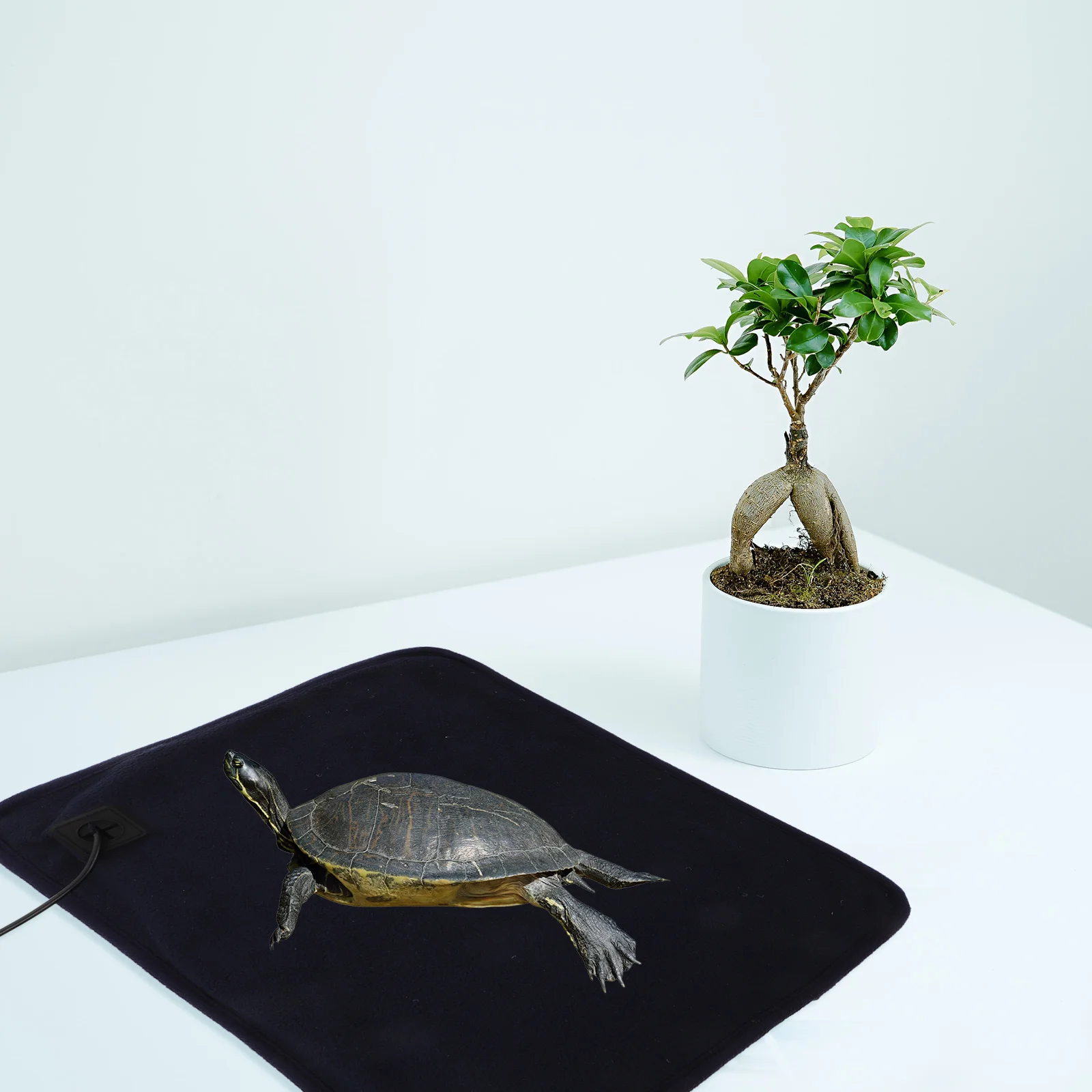 

1Pcs Turtle Heating Mat Premium USB Reptile Heating Pad Warm Cushion for Senior Pets Winter Use Reptile Warming Sleep Mat