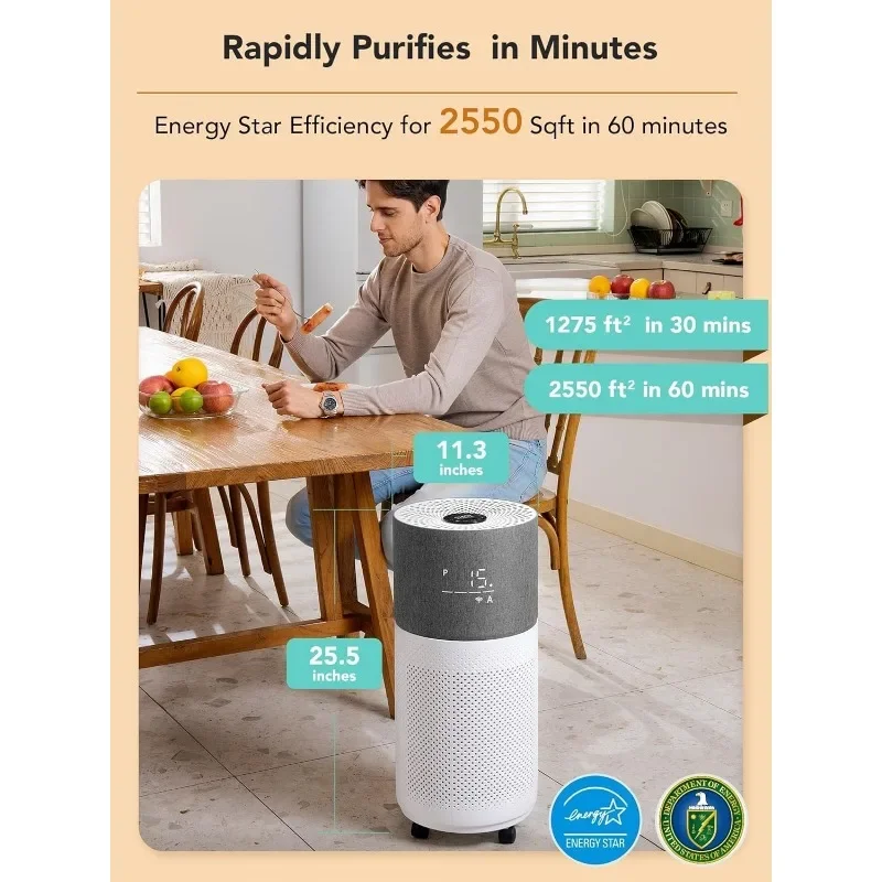 Home Large Room Up to 2550 ft², H13 HEPA Air Cleaner Works with Alexa for Dust, Allergens, Pollen, Pet Hair Dander, Odors