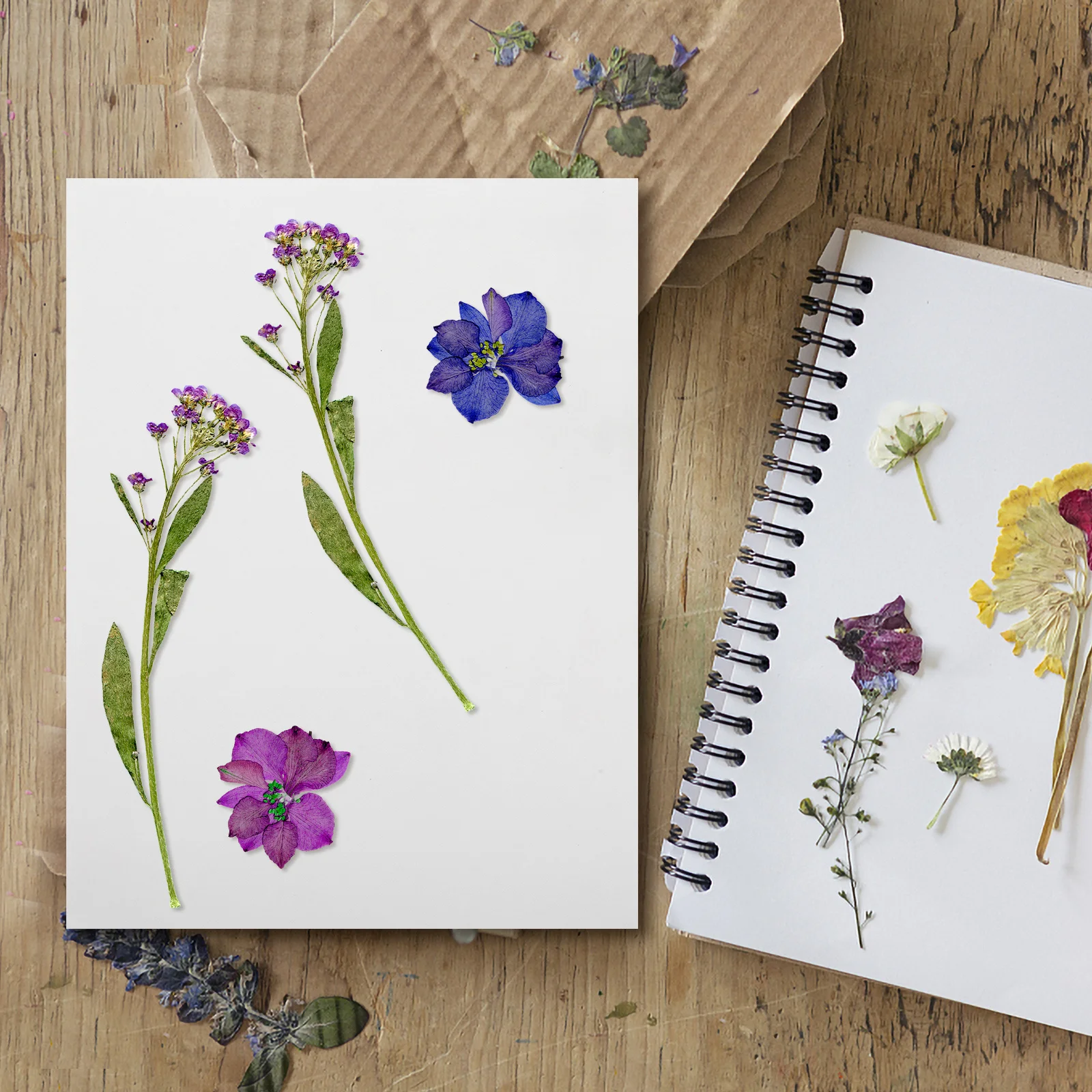 

6Pcs DIY Flower Press Paper Plant Drying Sheets Absorbent Blotting Craft Blotter Decoupage Rice Paper for Dried Flowers