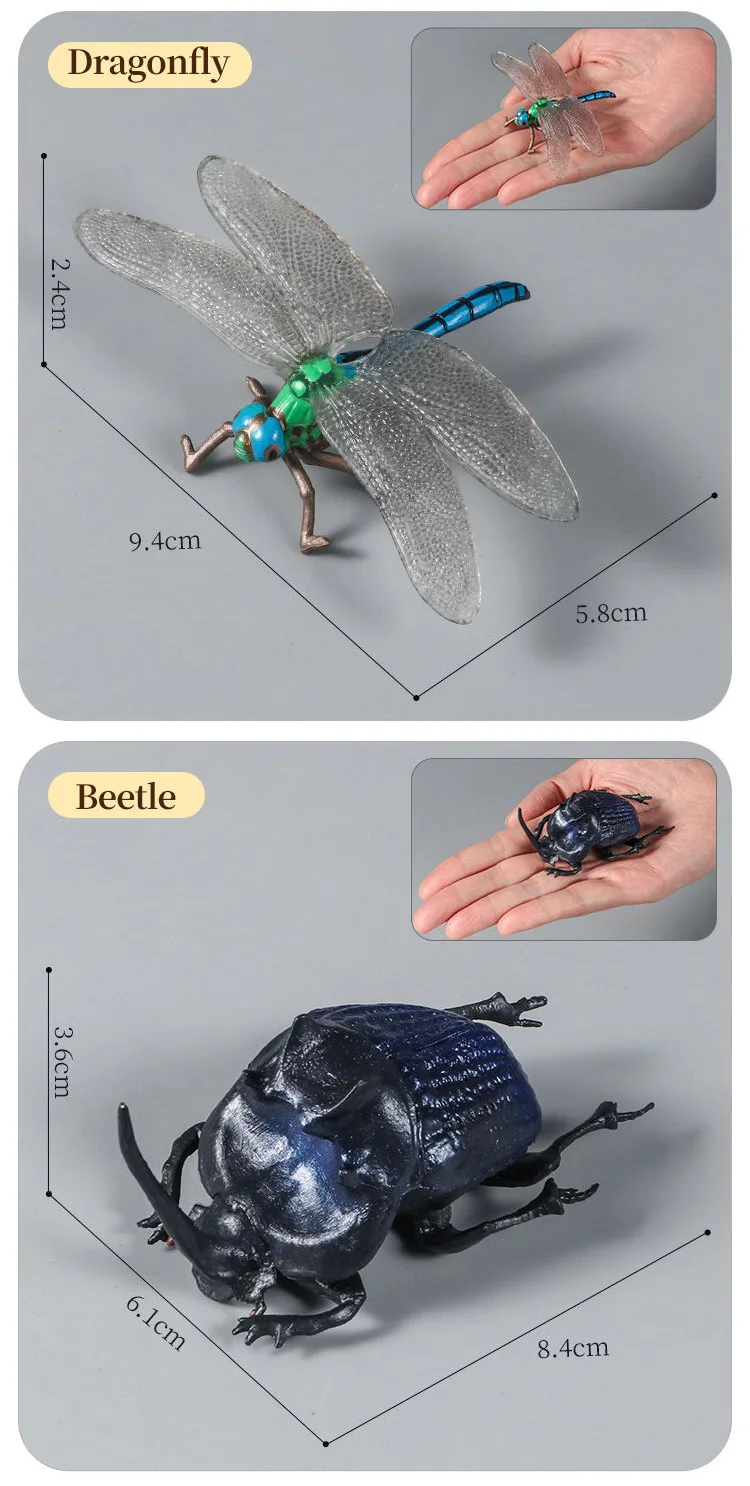 Pädagogisches Insekten-Tiere-Modell-Spielzeug-Set mit Schmetterling, Biene, Libelle, Mantis, Ameise, Schnecke, Actionfiguren für Kinder, Sammlung, Dekoration – Detail 12
