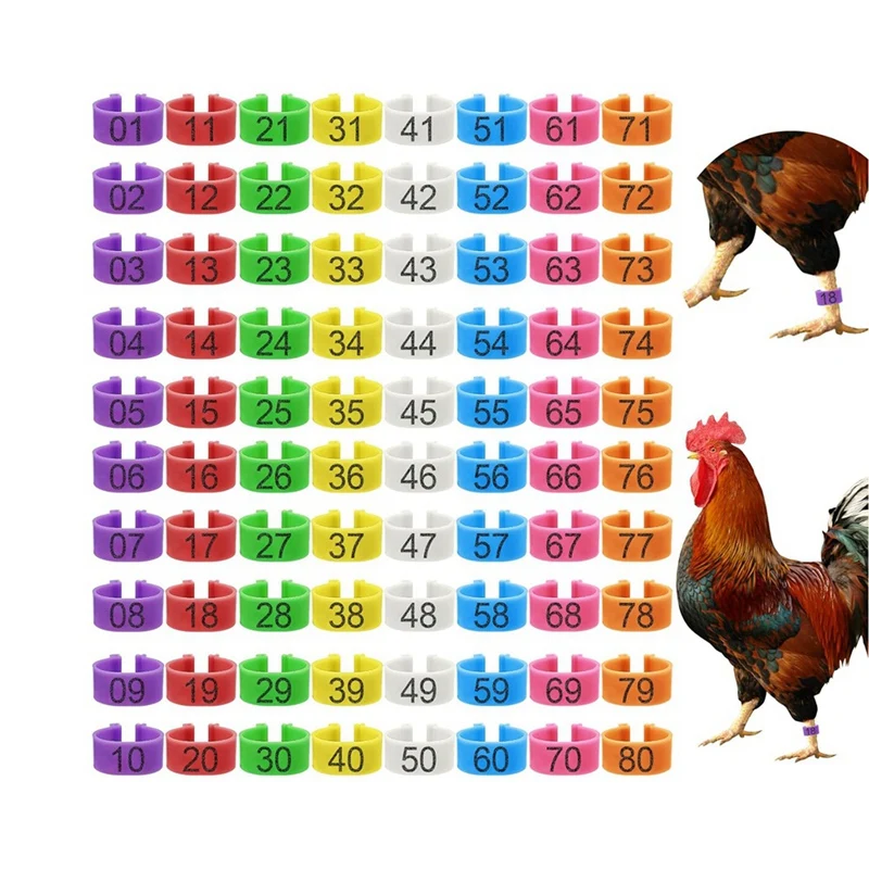 80Pcs 16Mm Chicken Leg Bands With 8 Colors,Colorful 01-80 Numbered Chicken Identification Leg Bands Duck Poultry Leg Tag