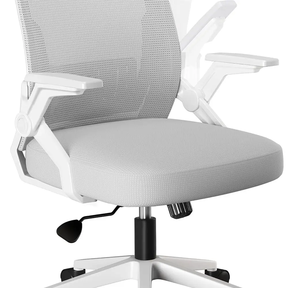 

Ergonomic Mesh Office Chair with Flip-up Armrests, Adjustable Lumbar Support, Swivel for Home & Bedroom, Gray