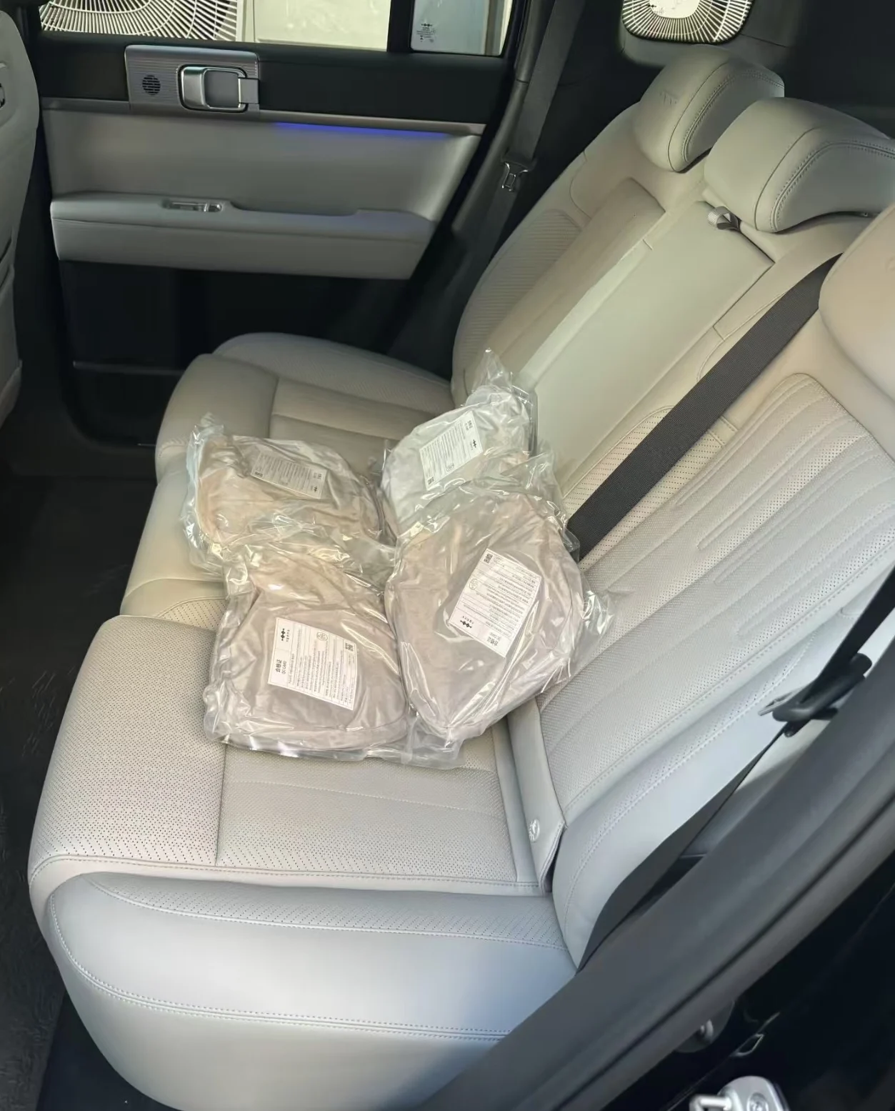 OEM Headrest Pillow for Leopard5 Tai7 Car Special Headrest Seat Pillow Decoration Modification Original Pillow Neck Support view 4