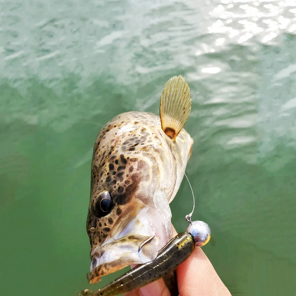 30 Stück/Set Angelhaken mit Jigkopf 1g-28g Scharfe Haken für Weichköder Crankbait Bass Hecht Forelle Zubehör – Detail 7