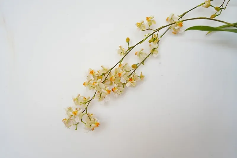 

RUSHFPV 4,8 ГГц 6,1 ГГц 4 Вт видеопередатчик с всенаправленной антенной передатчика для RC FPV дрона дальнего действия