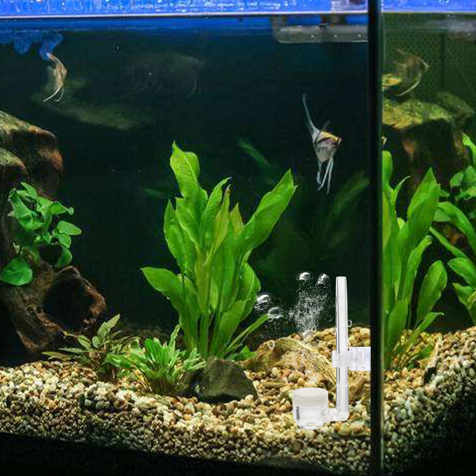 

1pcs Nano Bubble Stone For Aquarium Air Stones Suction Cup Fish Tank Oxygen Diffuser Hydroponics Supplies Bubbler Airstone