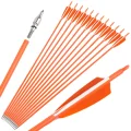 12-Spine500 Orange 