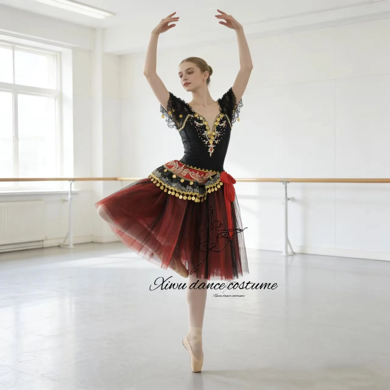Glamorous Black Red Flamenco Style Ballerina Dress - Gold Embroidered Stage Tutu view 3