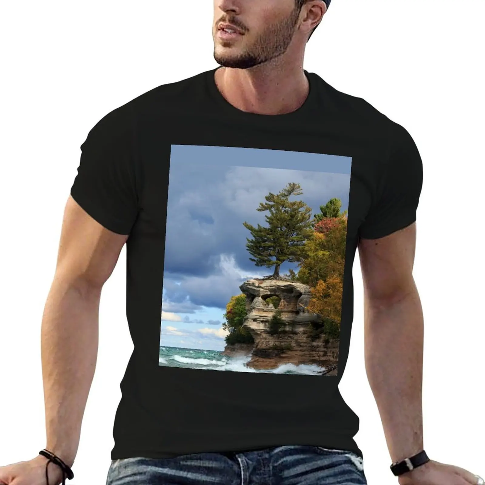 Chapel Rock, Lake Superior at Pictured Rocks National Lakeshore. T-Shirt Daily Work Short Sleeve Top