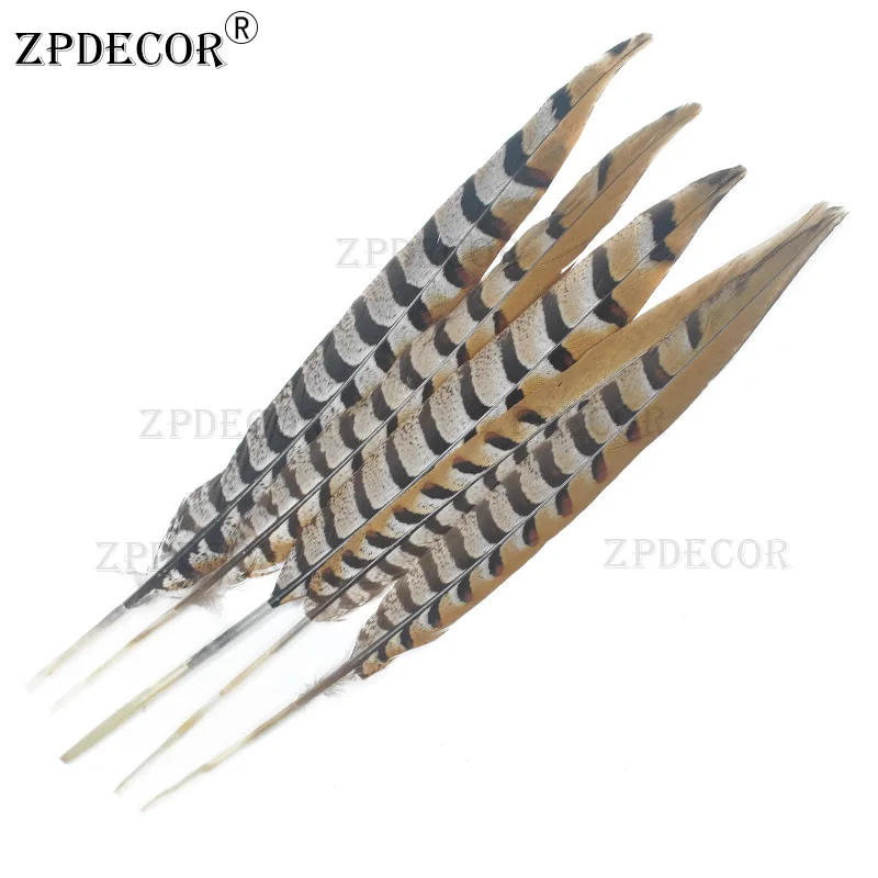 Natural Reeves Pheasant Feathers 35-40cm Long 14-16 Inch Feathers for Crafts