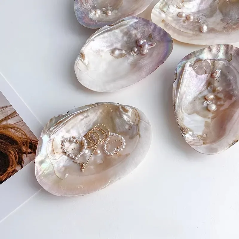 Vintage ins style natural shell plate pearl ornament decoration jewelry storage tray craft shooting DIY