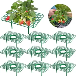 10 Packs Square Strawberry Support Stand Holder Growing Frame Keep Berries Clean