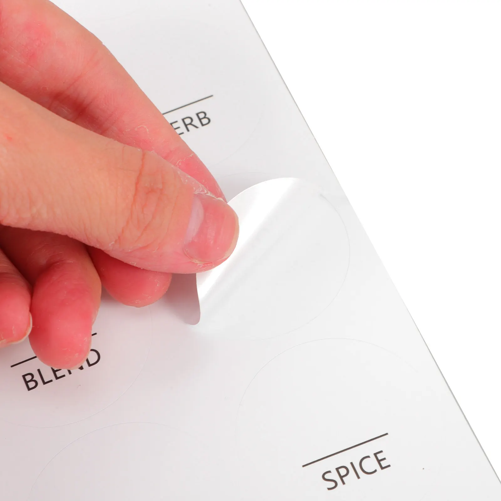 8 Sheets Waterproof Minimalist Round Seasoning Labels White Self Adhesive Spice Jar Stickers for Kitchen Pantry Condiment