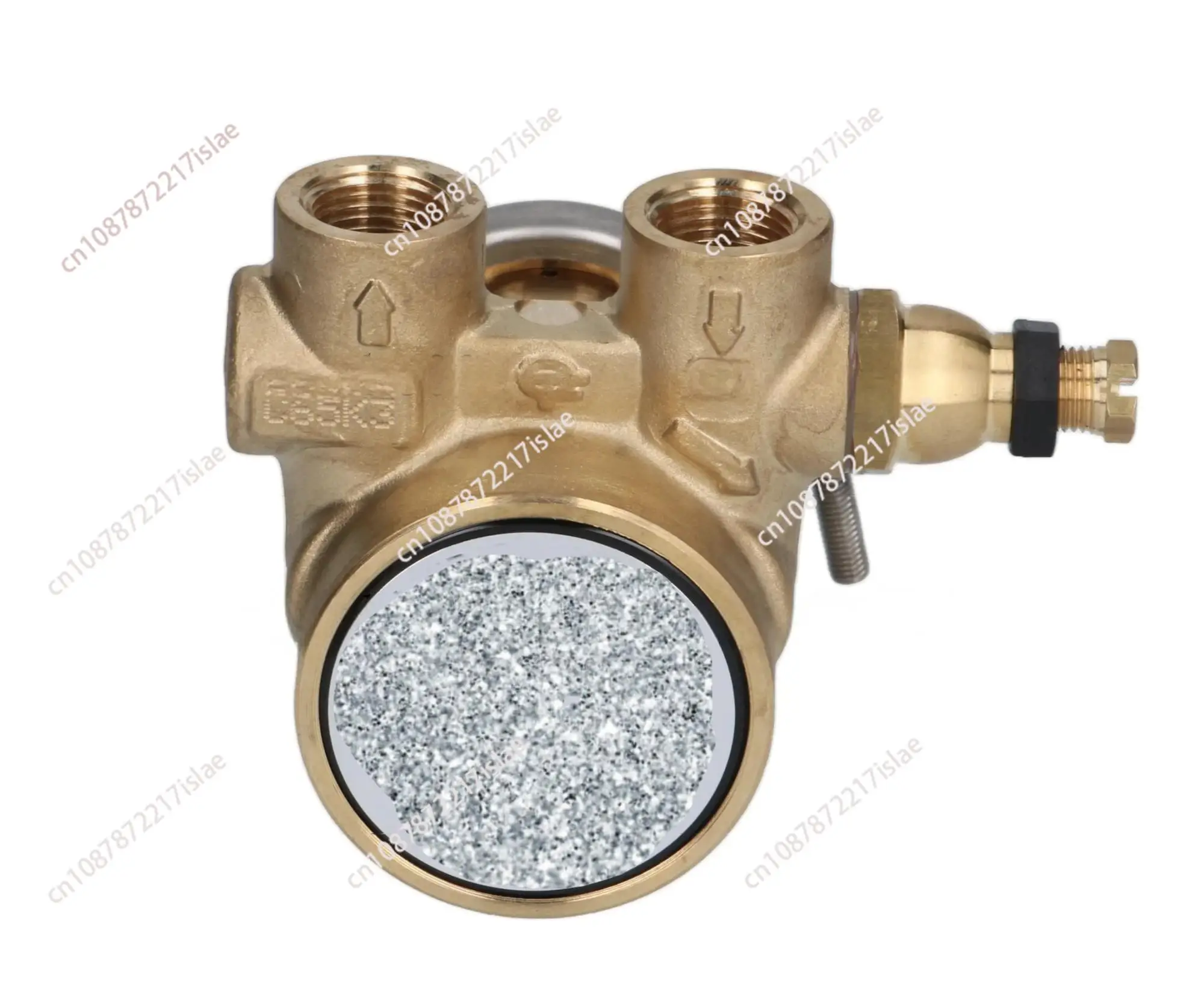 Bomba rotativa ROTOFLOW PA204 - Caudal 200 L/H, conexión 3/8 NPT - para cafetera RANCILIO, CIMBALI