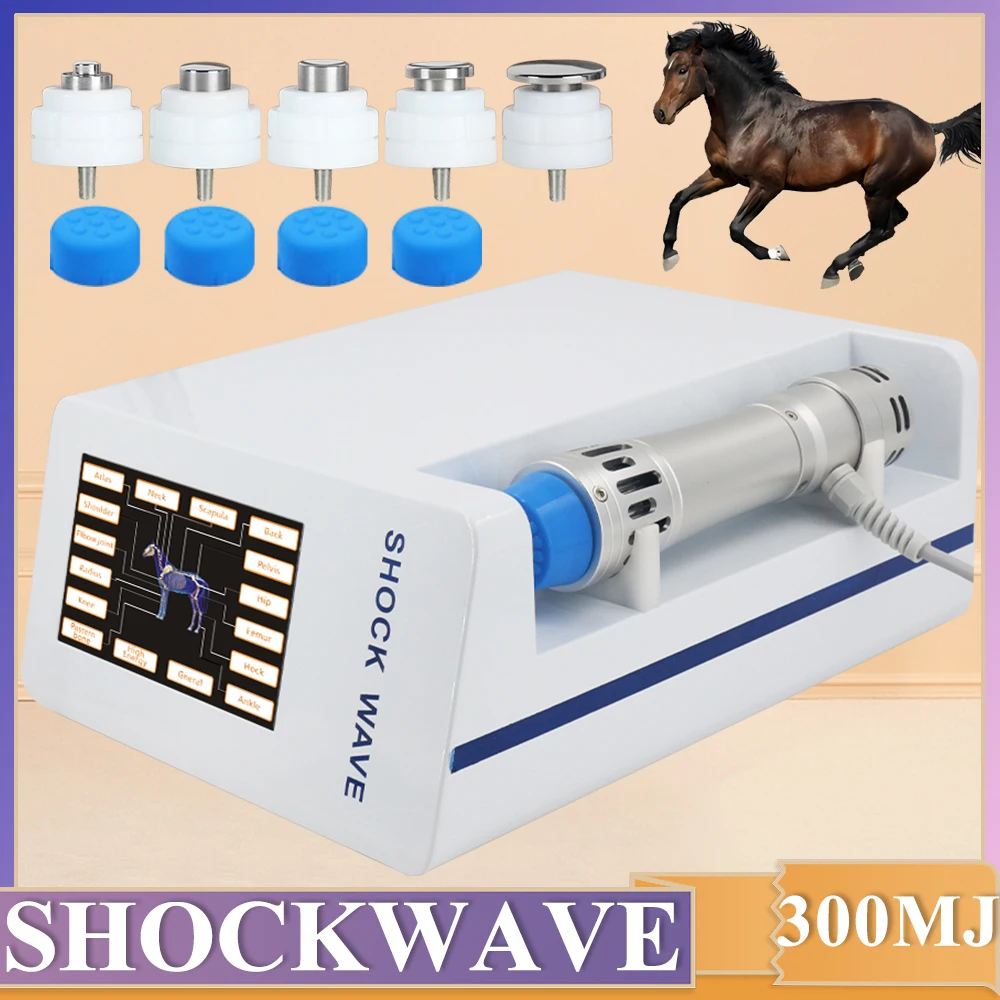 Animals 300MJ Physiotherapy Shock Wave Machine For Relieve Elbow Joint Pain Treat Tendon Injury Professional Shockwave Massager