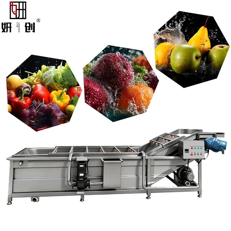 Automatic Professional Fruit and Vegetable Cleaning Machine Conveyor Belt Kelp Mushroom and Fish Cleaning Machine
