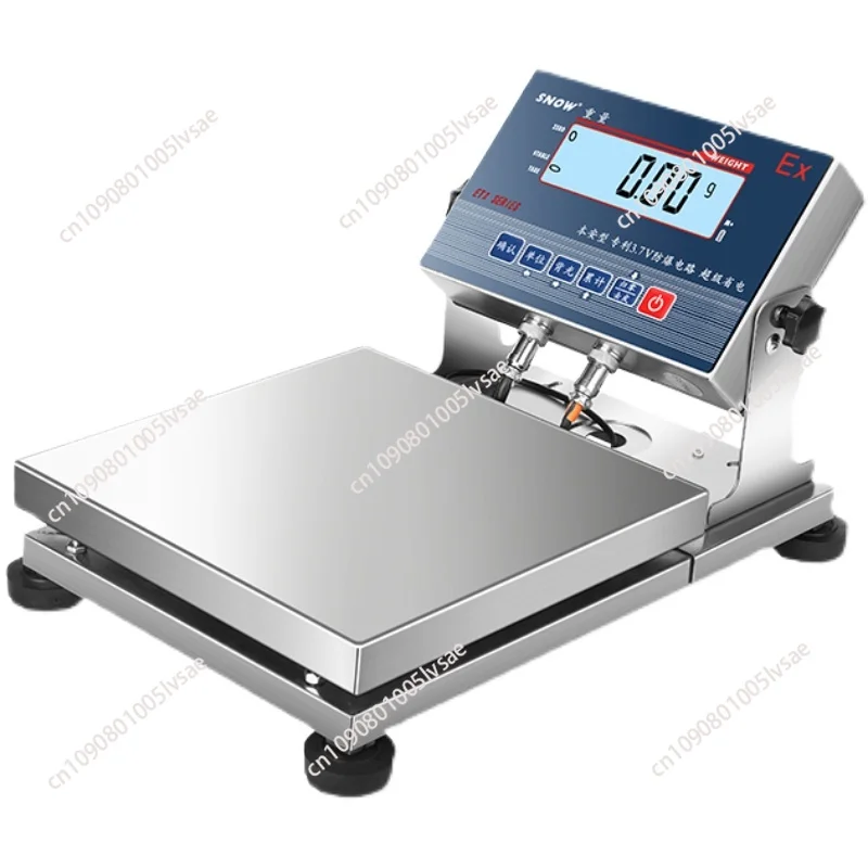 Electronic scale 30kg/1g 20kg/0.1g stainless steel industrial platform scale for paint chemical industry