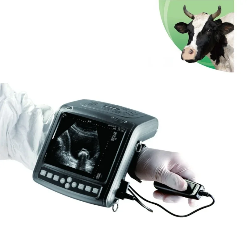 KX5200V Portable Handheld Veterinary Ultrasound Scanner Machine Economical Monitoring Device For Vets