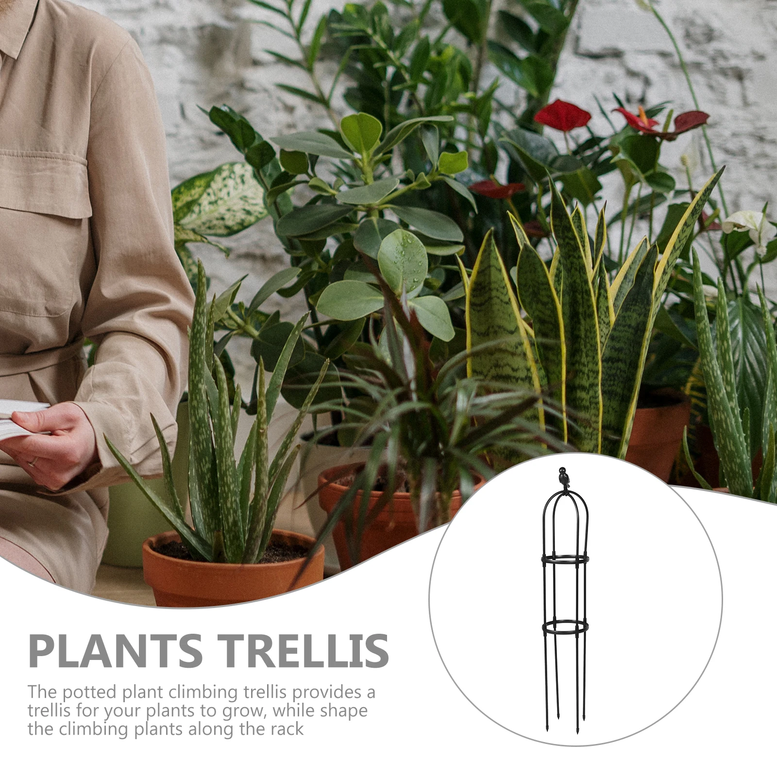 

Garden Trellis for Climbing Plants Outdoor Indoor Strong Metal Plant Support Potted Houseplant Climbing Trellis