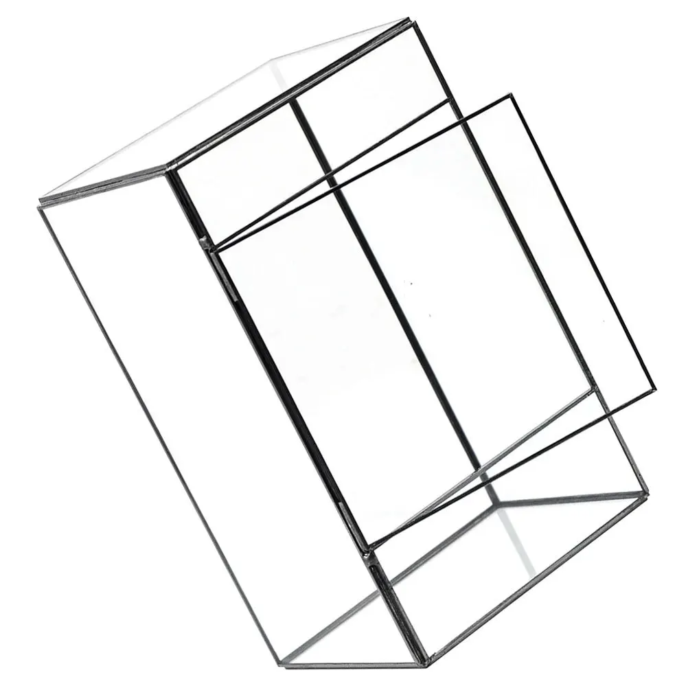 زجاج هندسي صغير تررم حامل نبات شفاف منضدية عرض المناظر الطبيعية حامل صندوق زراعة المناظر الطبيعية الصغيرة موس ايكو #5